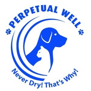 Perpetual Well Logo in Blue